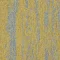 4276007 Canary