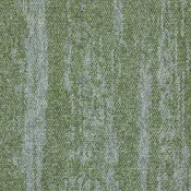 4276010 Lime