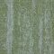 4276010 Lime