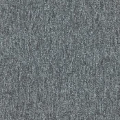 4288006 Dolphin