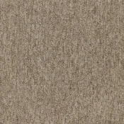 4288011 Bark