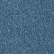 4288019 Blueberry