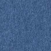 4288020 Blue Moon