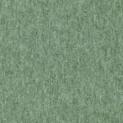 4288022 Sage