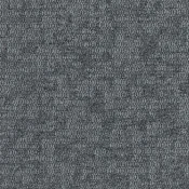 4290005 Titanium