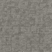 4290007 Dove