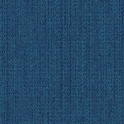 4306007 Ocean