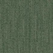 4306008 Forest