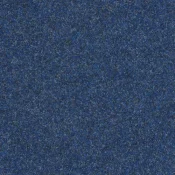 4308006 Oceanus II