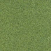 4308010 Primavera II