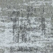 4311002 Cactus