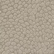 600R004 Limestone
