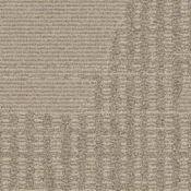 600S008 Wheat