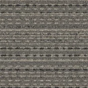 600V005 Birch