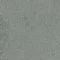7150001 Lichen