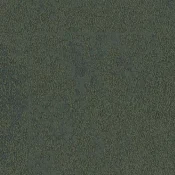 7150002 Ivy