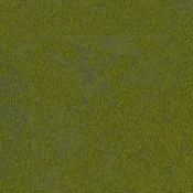 7150004 Grass