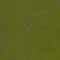7150004 Grass