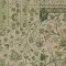 7191002 Pine