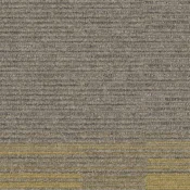 7559002 Mushroom-Mustard