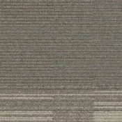 7559003 Sage-Biscuit