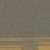 7559004 Sage-Canary