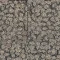 7619006 Shale