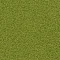 7621006 Kiwi
