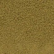 7621007 Pistachio