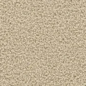 7621008 Bone