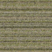 8110007 Glen Warp