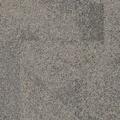 8337202 Shale