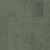 8337203 Forest