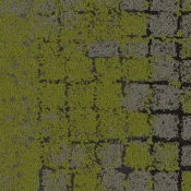 Płytki dywanowe Interface Moss 8341003 Flint-Moss