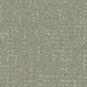 9406201 Sage