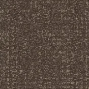 9406204 Cocoa
