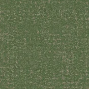 9406213 Fern