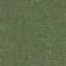 9406213 Fern