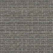 9553004 Ash