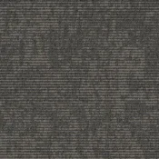9555002 Taupe
