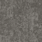 9555003 Ash