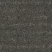 9555005 Coal