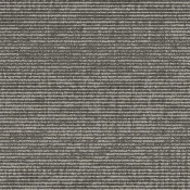 9557005 Ash