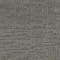 9557005 Ash