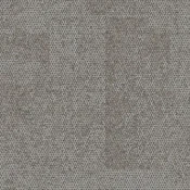 9625008 Stone