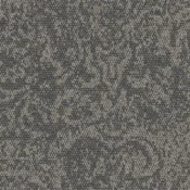 9629006 Nickel