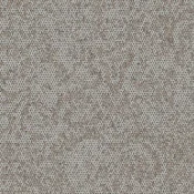 9629008 Stone