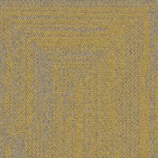9707004 Maize