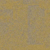 9708004 Maize