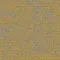 9708004 Maize